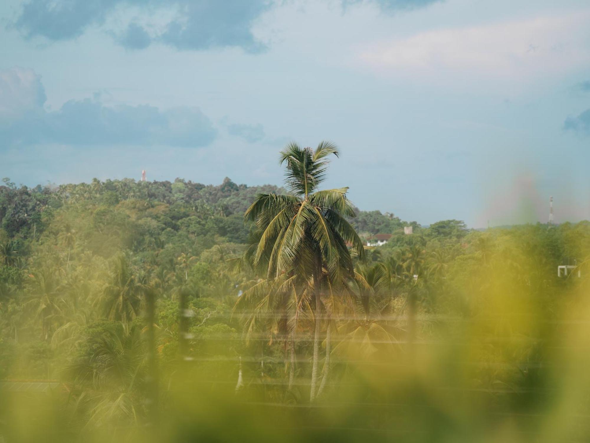 The Nine Mirissa Hotel Bagian luar foto